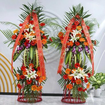 40930d63-8ac1-4244-8722-db8dd75919b3.jpg_366xaf